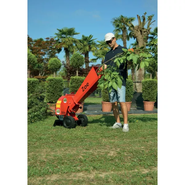 Дробилка за клони Agrinova ZOE, 50-55 мм, Briggs & Stratton serie 950 – Cod. ZO50B2 - продажба