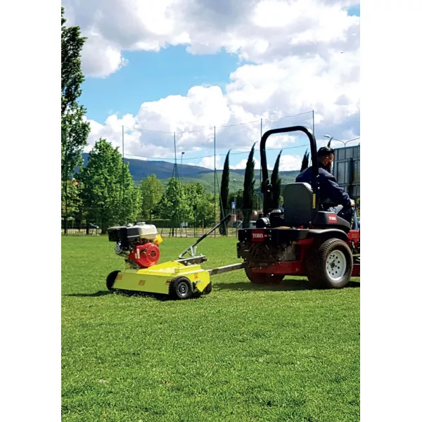 Вертикулатор Agrinova Jeremy Италия, Бензинов, 950 мм, Briggs & Stratton serie 1450, 2,5 мм, 40 мм - продажба